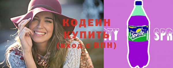 мдпв Осташков