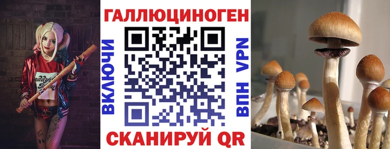 Псилоцибиновые грибы мухоморы  Щучье 